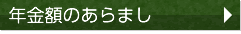 年金額のあらまし